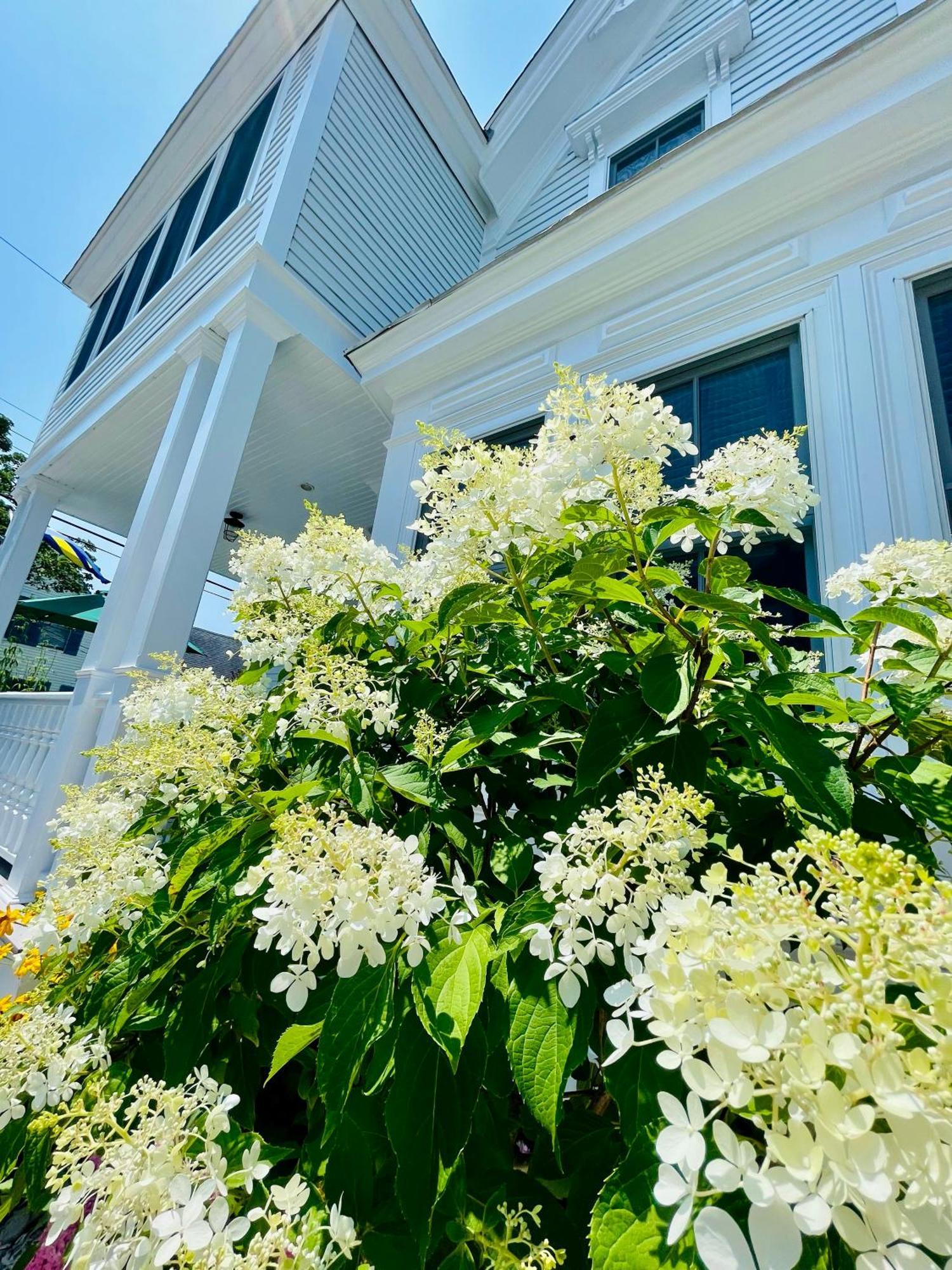 White Porch Inn Provincetown Exterior photo